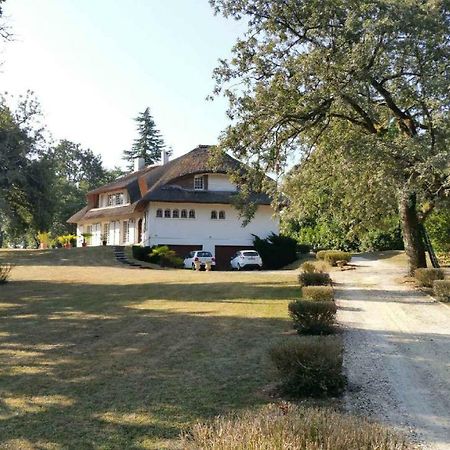 La Belle Chaumiere Bed & Breakfast Bretagne-de-Marsan Luaran gambar