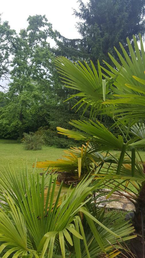 La Belle Chaumiere Bed & Breakfast Bretagne-de-Marsan Luaran gambar